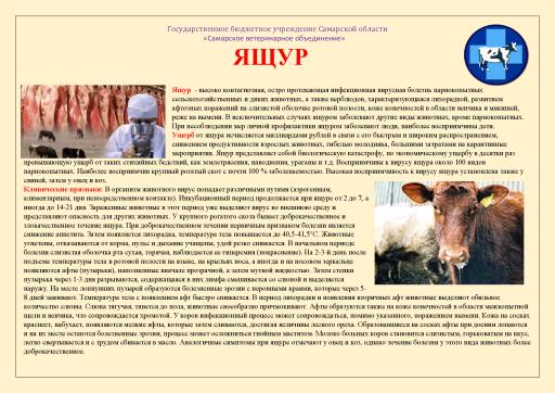 Ящур СВО