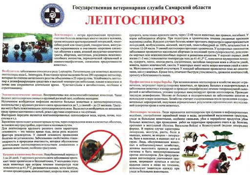 Лептоспироз памятка