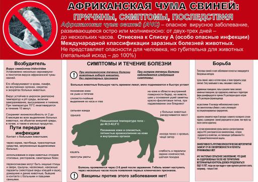 ПАМЯТКА АЧС СВИНЕЙ