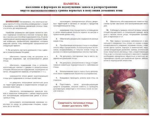 Памятка по гриппу птиц