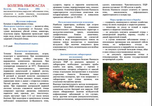 VSiHkaNISdU