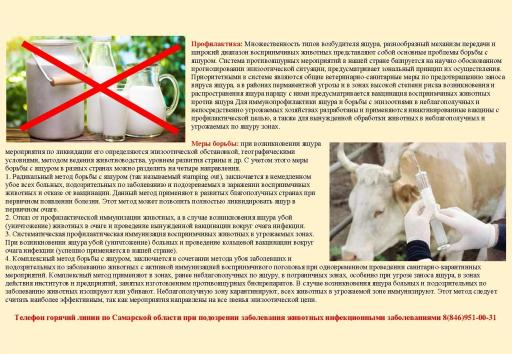 Проф ящур