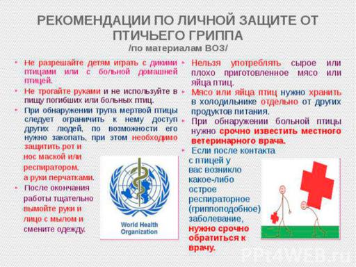 Защита от птичьего гриппа
