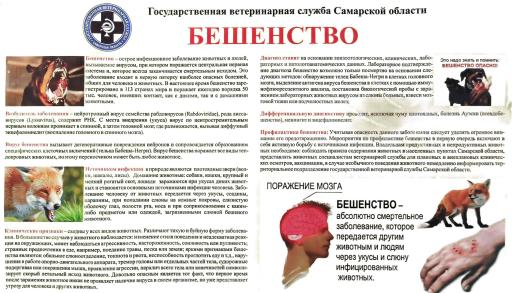 Бешенство памятка