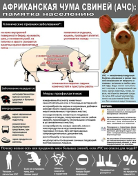 Информация об АЧС и Гепатите Е