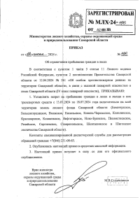 Об ограничениях пребывания граждан в лесах