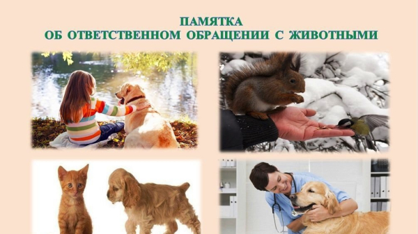 Памятка для населения об ответственном обращении с животными