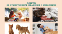 Памятка для населения об ответственном обращении с животными
