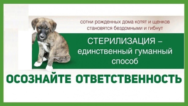 Ставропольская СББЖ информирует население