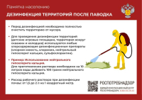 Дезинфекция территории после паводка