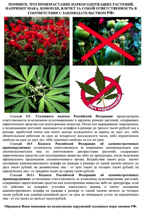 Внимание!!!