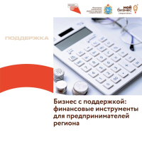 Бизнес с поддержкой: финансовые инструменты для предпринимателей региона